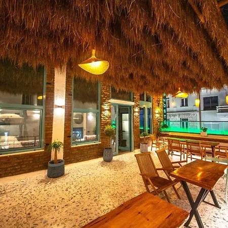 Hostel Vega 43